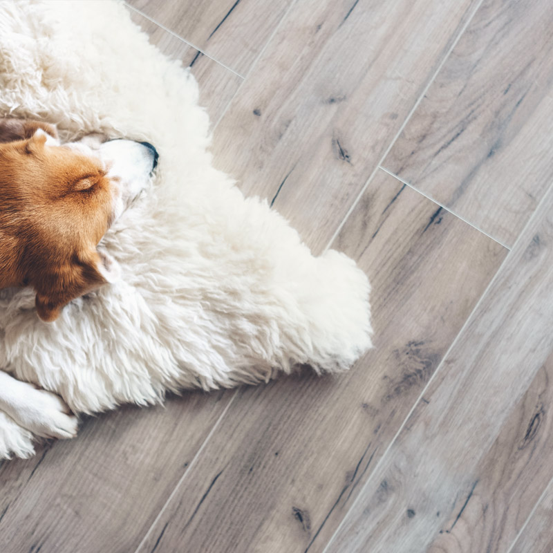 Home-Laminate-img