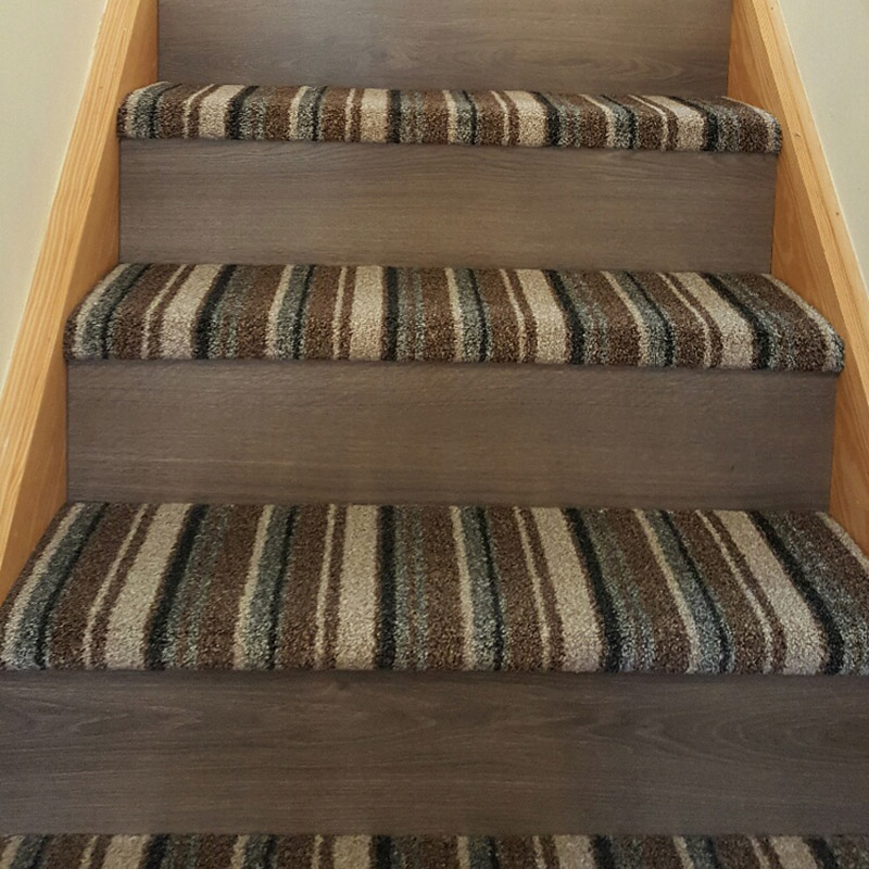 Carpet Carpet